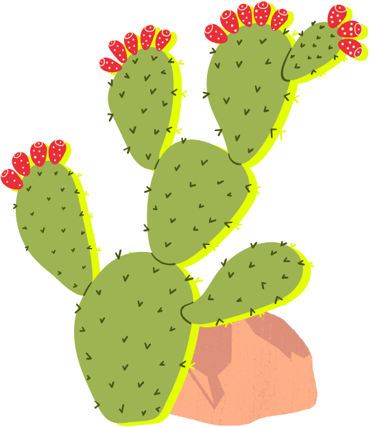 cactus illustration